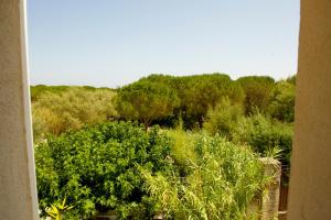 Maisons de vacances Maison d'Elie : photos des chambres