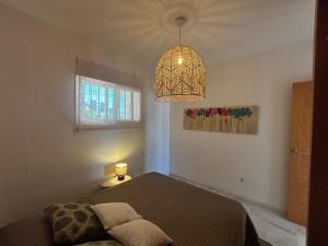 Mirador at Island Resort