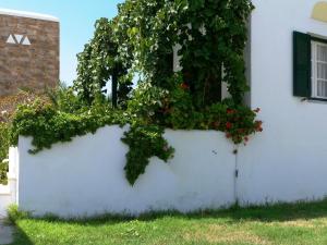 Plaka Hotel I Naxos Greece