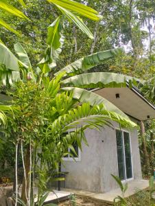 บ้านเล็กในป่าใหญ่โฮมสเตย์ กงหรา พัทลุง