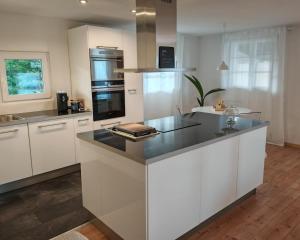 Large oasis with terrace, 15 minutes from Bern