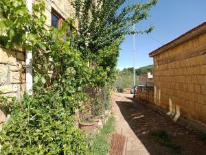 Merve Stone House Assos