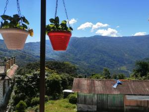 Sittong Valley Homestay