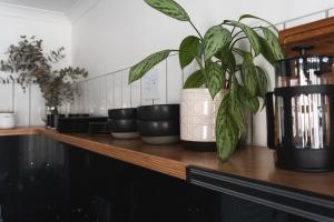 San Norina Gardens 5