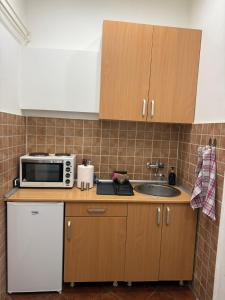 M&L downtown apartment