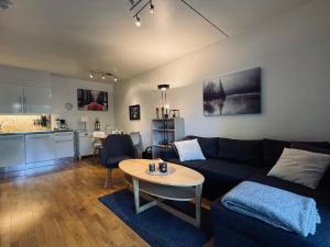 Central Apartment in Geilo