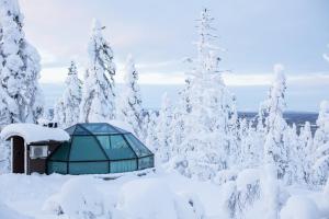 Golden Crown - Levin Iglut