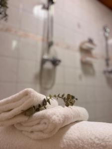 Unique Villa Tikkuri