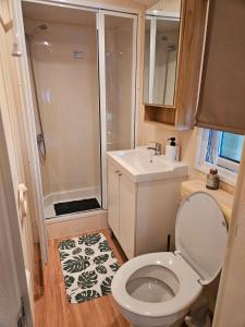 Olm29 Vakantiewoning in het Drents Friese Wold vlakbij Diever Zwembad, Animatie, Restaurant, Wandelen, Natuur