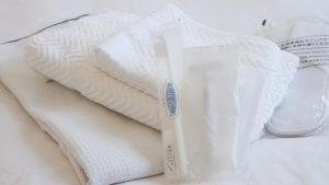 Nagano Linden Plaza Hotel