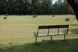 Chambre dhôte la Ronce