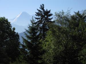 Blüemlisalp 712 Studio