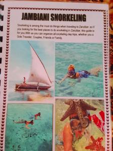 NEW ORANGE APARTMEnt