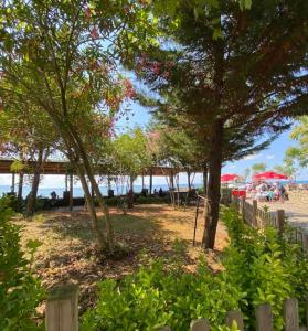 Villamore Trabzon Kiralık Villa