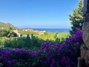 Villa Oleandro img44