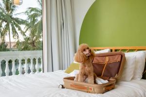 Moodhoian Riverside Resort & Spa