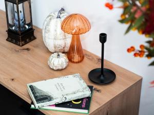 Urbanes Nest Lübeck