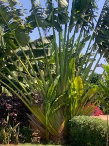 Aa peaceful resting home