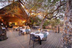 Tomo Safari Lodge