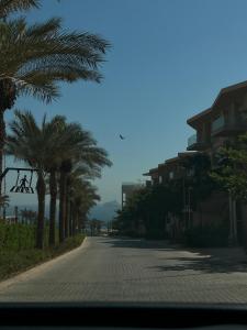 Looking for elegance !