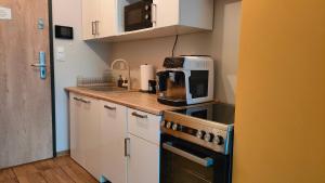 Sleep In Apartament Centrum