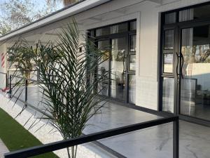 The Amaryllis Guest House