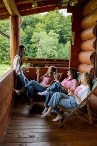 Vysoka brama деревяний будиночок з чаном