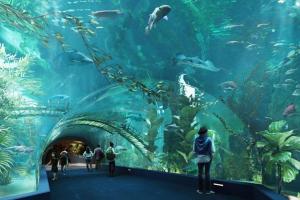 Tây Hồ Tulip201 Homestay