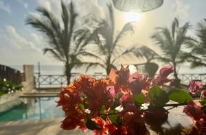 Tangawizi Lodge Zanzibar - Adults Only