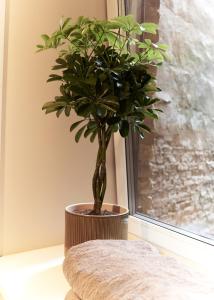 Hidden Little Oasis in Riga