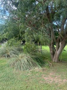 El Colibrí Casa de Campo