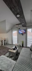 APARTMENTS IVANOViC CENTER CITY