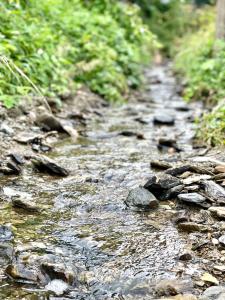 Le Hamac - Nature cottage near Bastogne