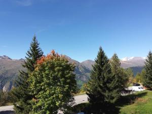 Appartement 2 pièces pour 6 à Arc 1600, proche piste, animaux admis - FR-1-411-337