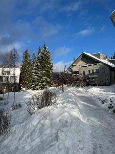 Free wellness rodinný apartman Daniela Anenské údolí