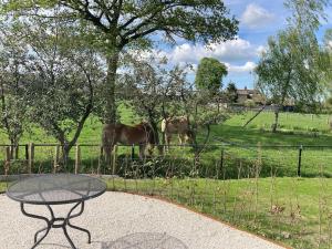 Weidezicht Soest, beauty & wellness en rust & natuur