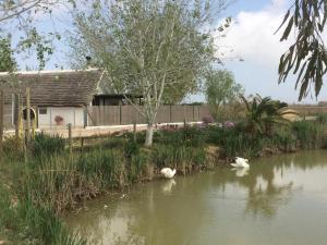 La Barraca den Salvador