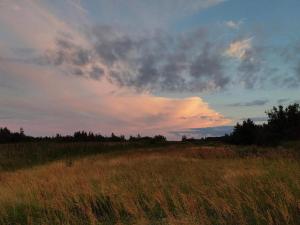 Bright Cottage by the Lagoon-By Traum