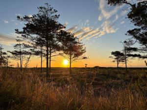 Bright Cottage by the Lagoon-By Traum