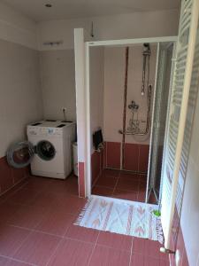 Apartmán v rodinném domě