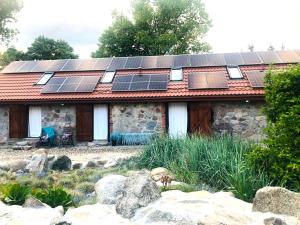 Siedlisko Żywe Kamienie