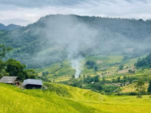 Lagom Home - Bamboo Forest