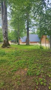 ıtenıcı konaklamalı orman park