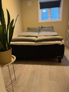 Cosy apartment in central Tromsø