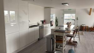 Large London Penthouse