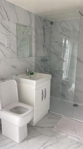 Large London Penthouse