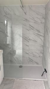 Large London Penthouse