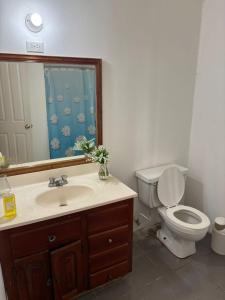 Sunlight Radiance Room