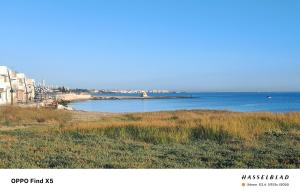 Il Melarancio del Salento