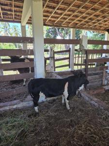 Chalé 2 Quartos em Sítio Tamandaré
